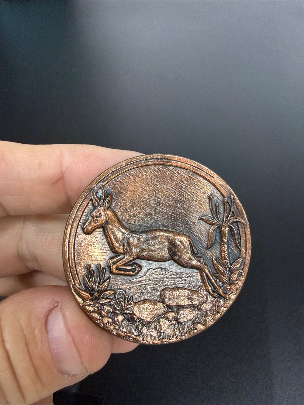 Antelope Motif Copper Round Brooch - Women’s Jewelry